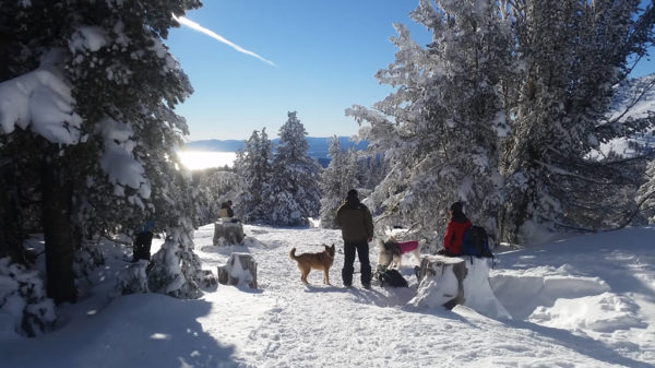 Lake Tahoe Guided Snowshoe Tours