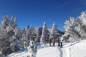 Lake Tahoe Guided Snowshoe Tours