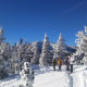 Guided Tahoe Snowshoe Tours