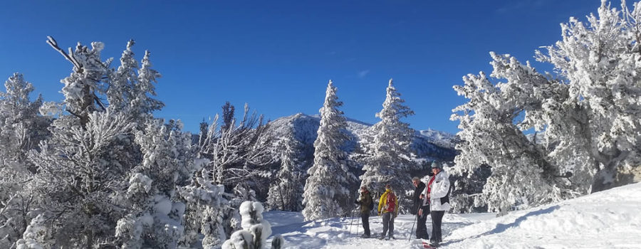 Lake Tahoe Guided Snowshoe Tours