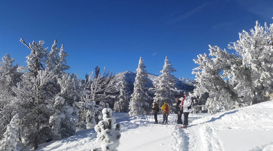 Lake Tahoe Guided Snowshoe Tours
