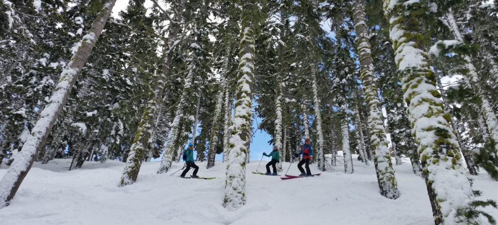 Squaw Valley Discount Ski Lesson