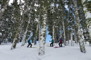 Squaw Valley Discount Ski Lesson