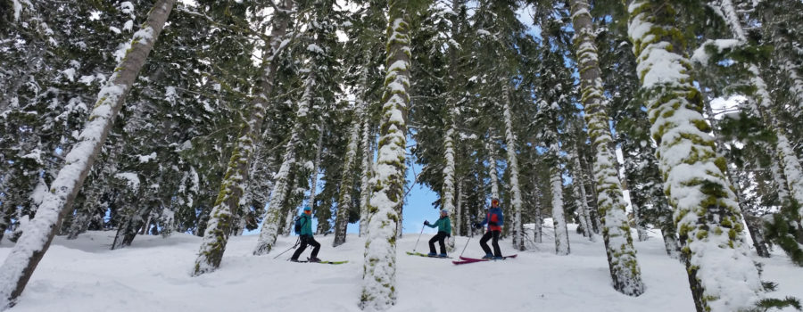 Squaw Valley Discount Ski Lesson