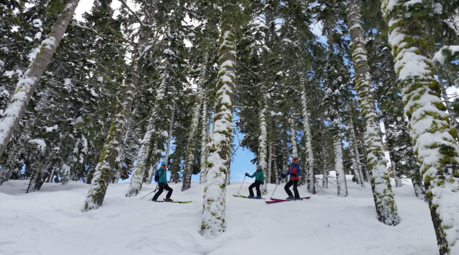 Squaw Valley Discount Ski Lesson