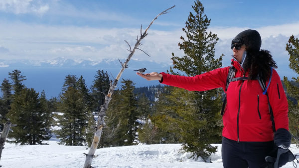 Guided Snowshoe Tours Tahoe