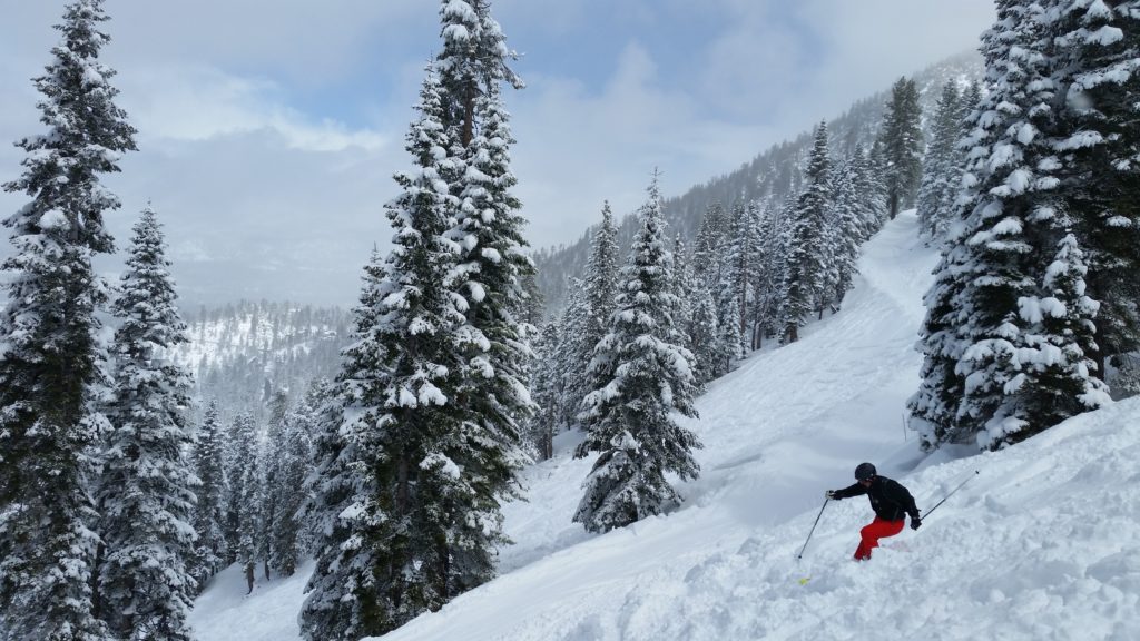 Heavenly Tree Ski Lessons