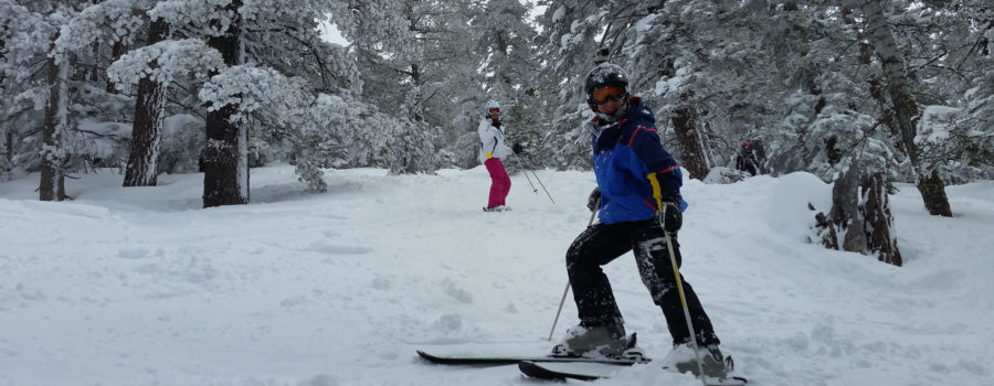 best ski instructor tahoe propowderguides