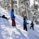 Avalanche & Tree Well Deep Snow Danger !!